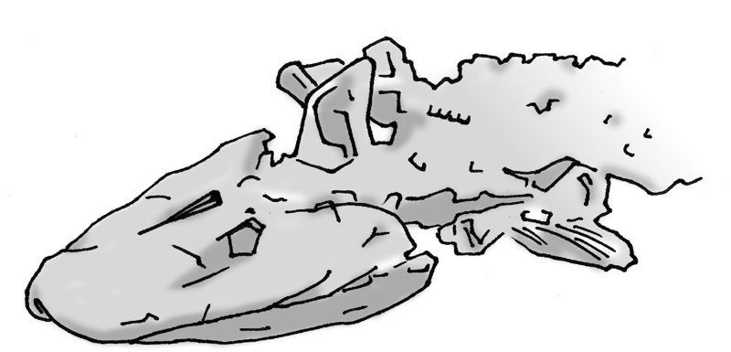 Drawing of a fossilized fish-like skeleton.